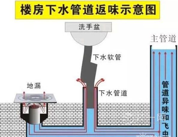马桶下水道示意图图片
